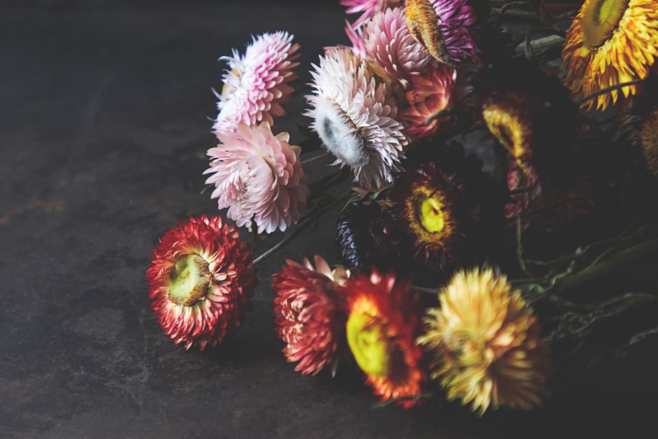 Dried strawflowers in amber and gold on a dark table