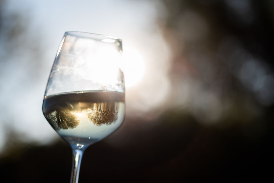 A glass of white wine lit from behind in a dark room